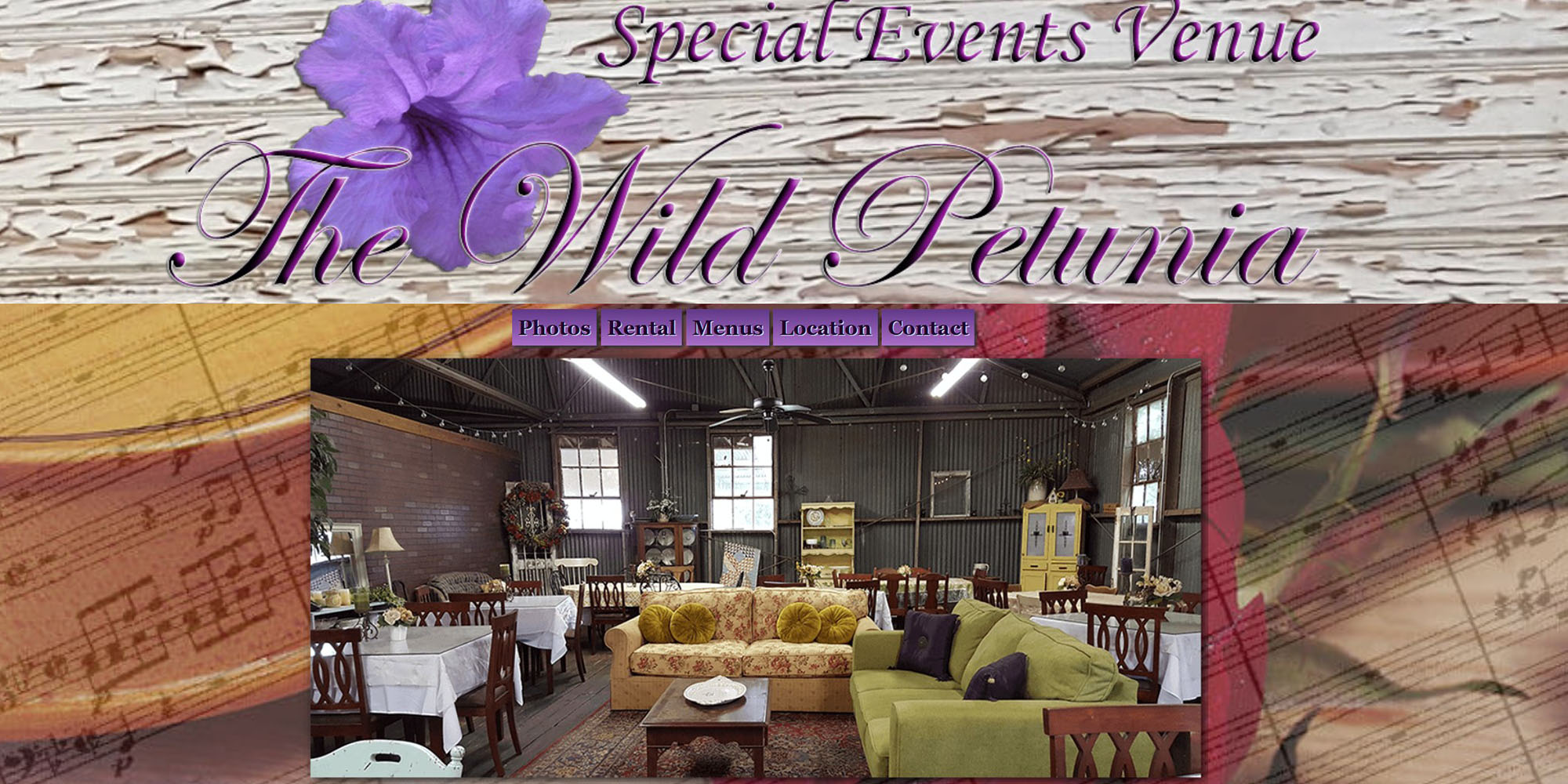 Wild Petunia